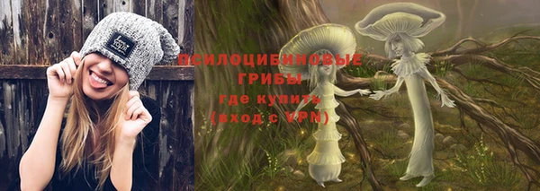 бошки Алзамай