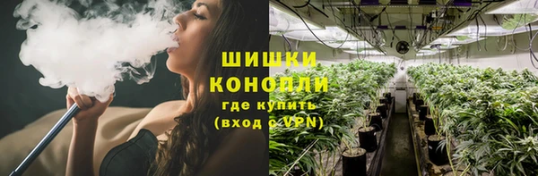 бошки Алзамай