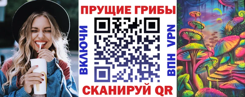 Галлюциногенные грибы Psilocybine cubensis  хочу   Юхнов 