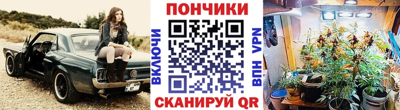 MEGA сайт  где можно купить   Юхнов  Шишки марихуана план 